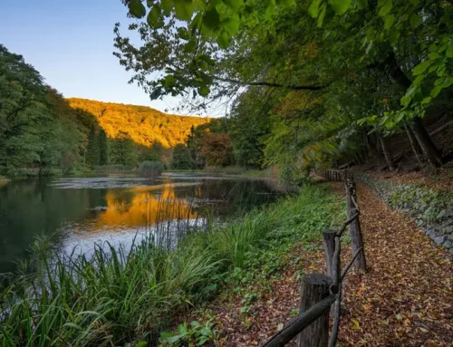Poziv na javno savjetovanje Plana upravljanja destinacijom Turističke zajednice područja Vrata Papuka