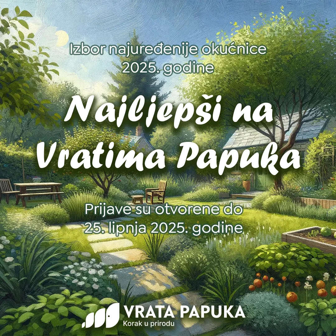 Najljepši na vratima papuka 2025