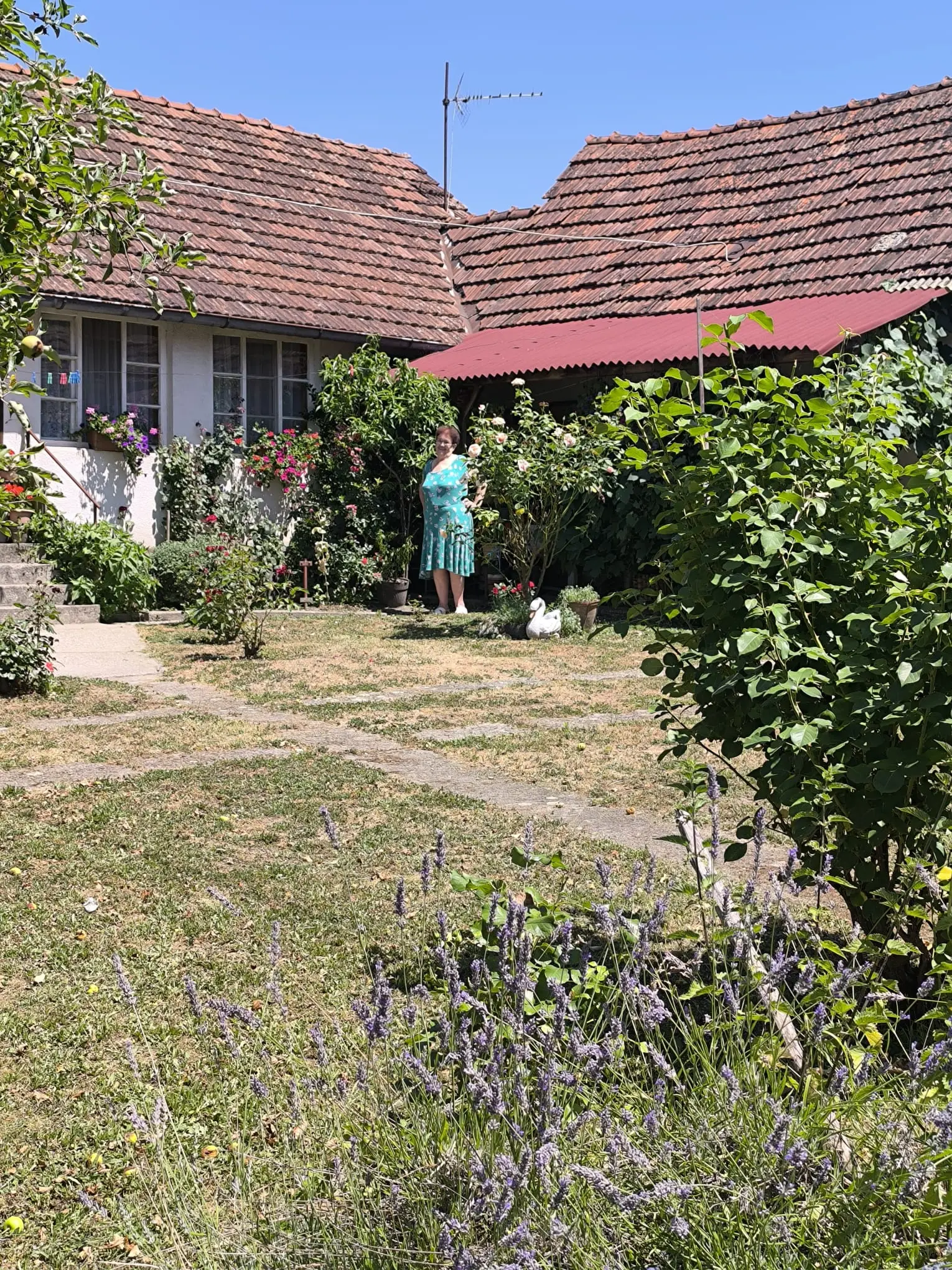 Pejić2